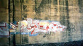 Street Art 1902 1880 GRAFFITI A4 Photo Print