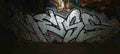 Street Art 2066 2045 GRAFFITI A4 Photo Print