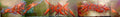 Street Art 2171 2150 GRAFFITI A4 Photo Print