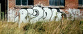 Street Art 2909 2890 GRAFFITI A4 Photo Print