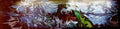 Street Art 3098 3080 GRAFFITI A4 Photo Print