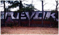 Street Art 3280 3270 GRAFFITI A4 Photo Print