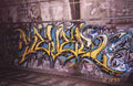 Street Art 3767 3761 GRAFFITI A4 Photo Print