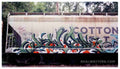 Street Art 3805 3799 GRAFFITI A4 Photo Print