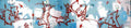 Street Art 3817 3811 GRAFFITI A4 Photo Print