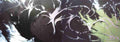 Street Art 3832 3826 GRAFFITI A4 Photo Print