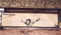 Street Art 4214 4210 GRAFFITI A4 Photo Print