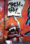 Street Art 4220 4216 GRAFFITI A4 Photo Print