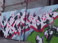 Street Art 4440 4439 GRAFFITI A4 Photo Print