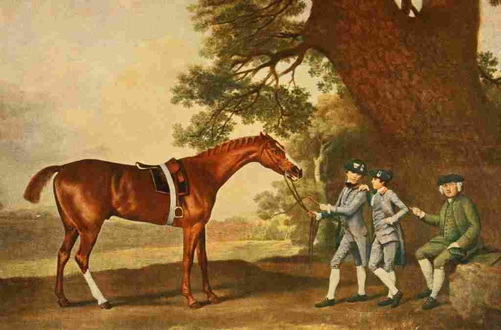 Stubbs George 1724 1806 The New Book Horse 1911 Eclipse A4 Photo Print