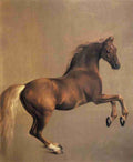 Stubbs George 1724 1806 Whistlejacket 1762 A4 Photo Print