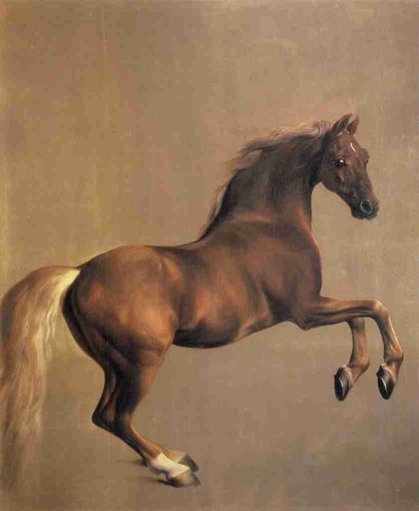 Stubbs George 1724 1806 Whistlejacket 1762 A4 Photo Print