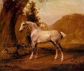 Stubbs George A Grey Stallion In A Landscape A4 Photo Print