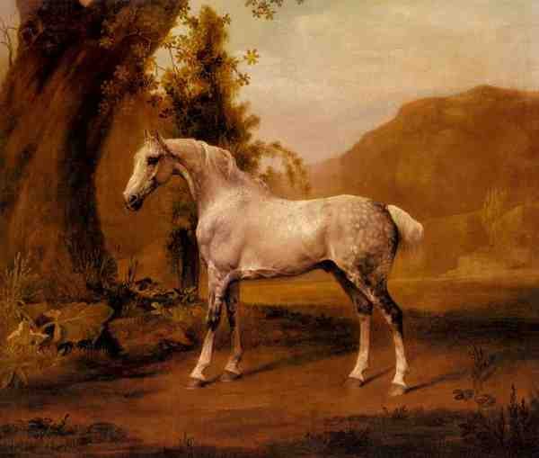 Stubbs George A Grey Stallion In A Landscape A4 Photo Print