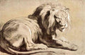 Study Of A Lion Rubens A4 Photo Print