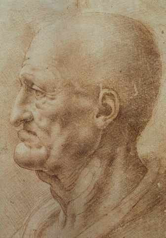 Study Of An Old Mans Profile Eur A4 Photo Print