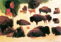 Study Of Buffaloes Bierstadt A4 Photo Print