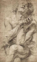 Study Of Daniel In The Lion S Den Rubens A4 Photo Print