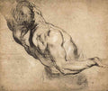 Study Of Man S Torso Rubens A4 Photo Print