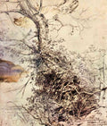 Study Of Tree Rubens A4 Photo Print