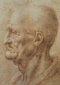 Study of an old mans profile EUR Leonardo da Vinci  A4 Photo Print