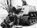 Sturmtiger 10 A4 Photo Print