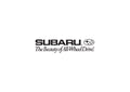 Subaru7 A4 Photo Print