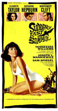  Suddenly Last Summer 01 film star poster A4 Photo Print