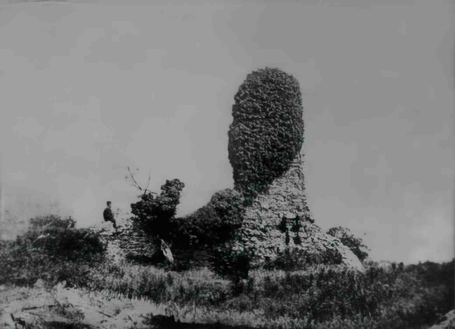 Suffolk Felixstowe Old Hall in 1879 Vintage A4 Photo Print