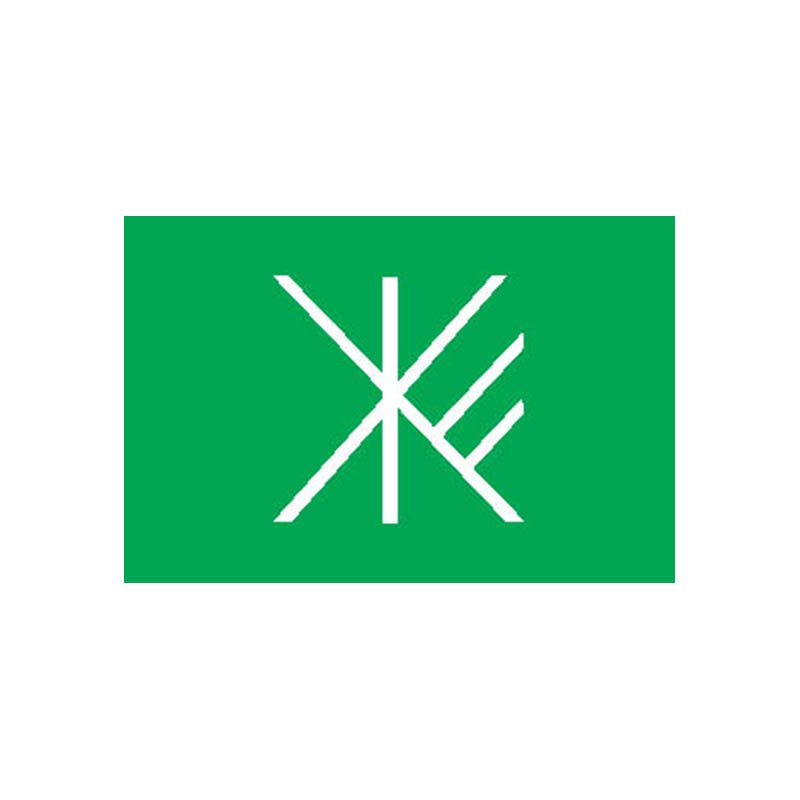 Suginami Ku Flag N2382 A4 Photo Print