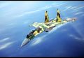 Sukhoi Su35 Super Flanker Multirole Combat Fighter Russia 10 A4 Photo Print
