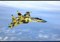 Sukhoi Su35 Super Flanker Multirole Combat Fighter Russia 8 A4 Photo Print
