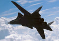 Sukhoi Su47 Berkut 4 A4 Photo Print