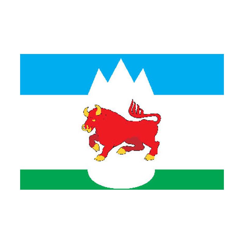 Sukhoilog City Flag N5395 A4 Photo Print