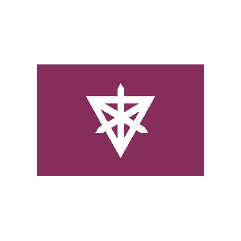 Sumida Ku Flag N2383 A4 Photo Print