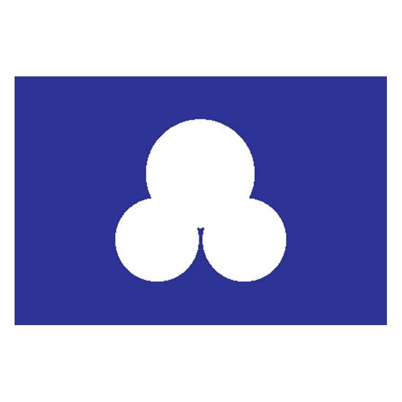 Sumoto City Flag N2655 A4 Photo Print