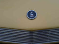 Sunmeam Bonnet Grille Boot 2612 A4 Photo Print