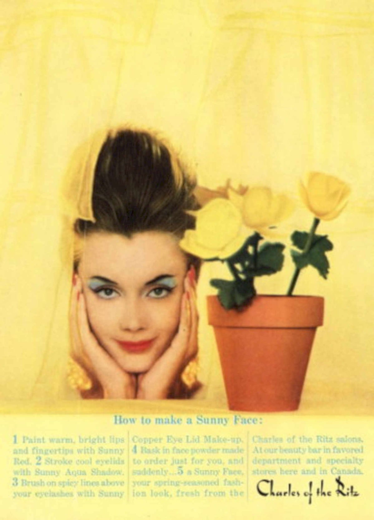 Sunny Face Makeup 1960s Vintage Retro Advert