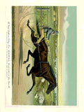 Sunol Horse A4 Photo Print