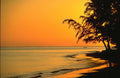 Sunrise Sunset Beach Silhouette 5 A4 Photo Print Sunset