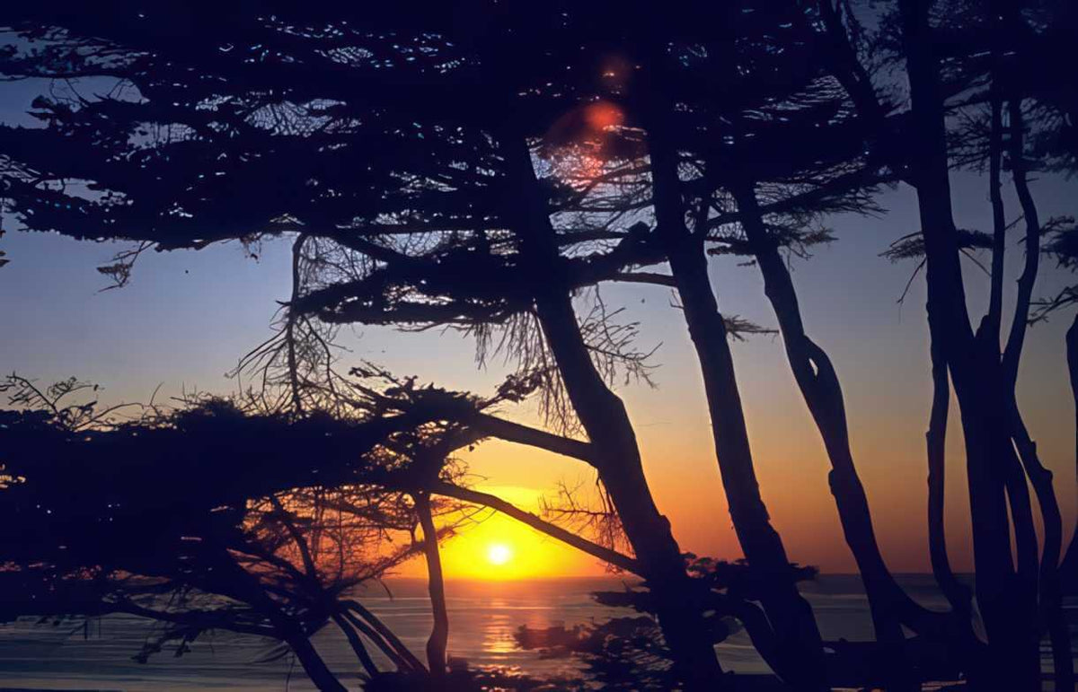 Sunrise Sunset Cypress Ocean A4 Photo Print Sunset x