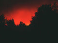 Sunrise Sunset Forest Redsky A4 Photo Print Sunset