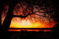 Sunrise Sunset Sky 001003 Tree Framing Sunset Over Bay A4 Limited Edition Watercolour Print