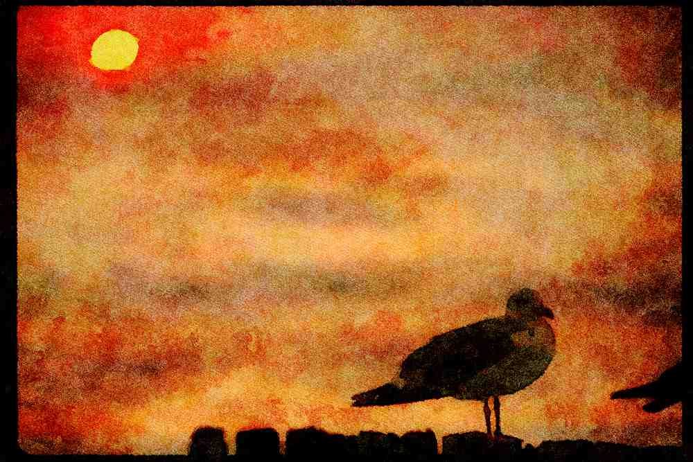 Sunrise Sunset Sky 001004 Sun Behind Gull On Pilings A4 Limited Edition Watercolour Print