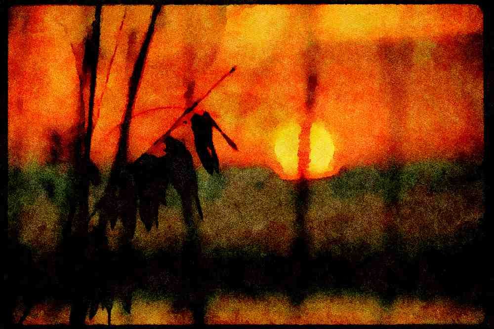 Sunrise Sunset Sky 001012 Hazy Sunset Through Foliage A4 Limited Edition Watercolour Print