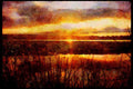 Sunrise Sunset Sky 001013 Sun Setting Through Dune Grass A4 Limited Edition Watercolour Print