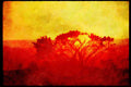 Sunrise Sunset Sky 001015 Bright Yellow Sunset Caught Up In Tree Branches A4 Limited Edition Watercolour Print