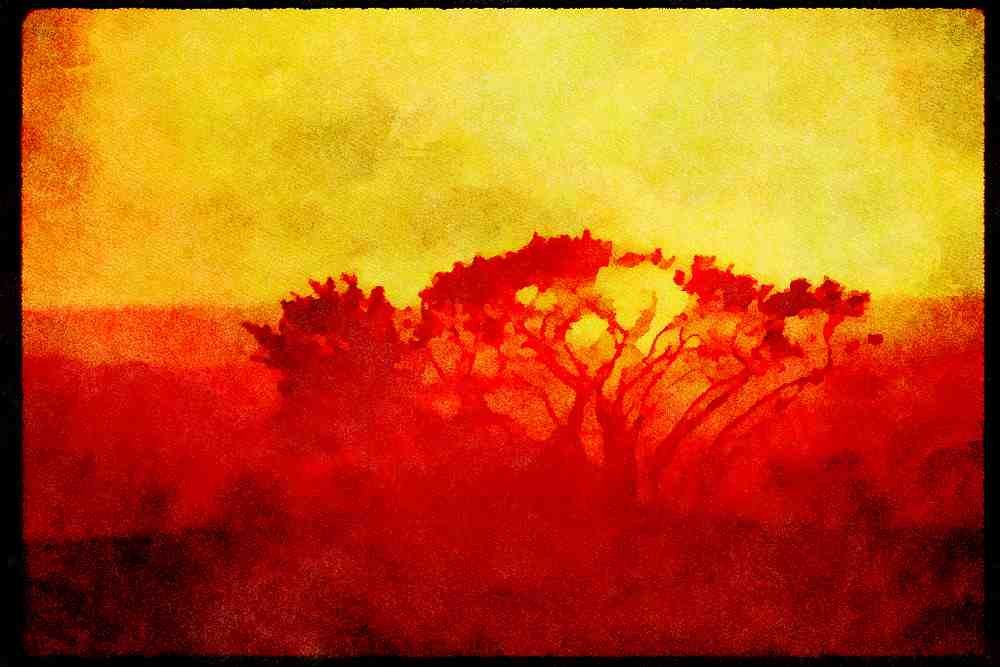 Sunrise Sunset Sky 001015 Bright Yellow Sunset Caught Up In Tree Branches A4 Limited Edition Watercolour Print