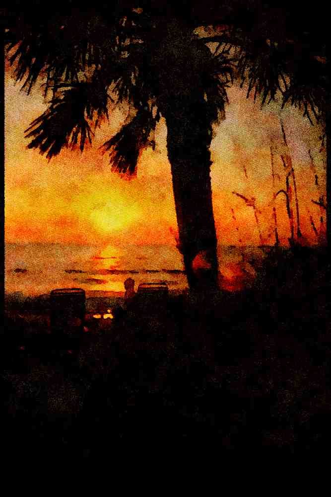 Sunrise Sunset Sky 001018 Palm Fronds Over Sunset A4 Limited Edition Watercolour Print