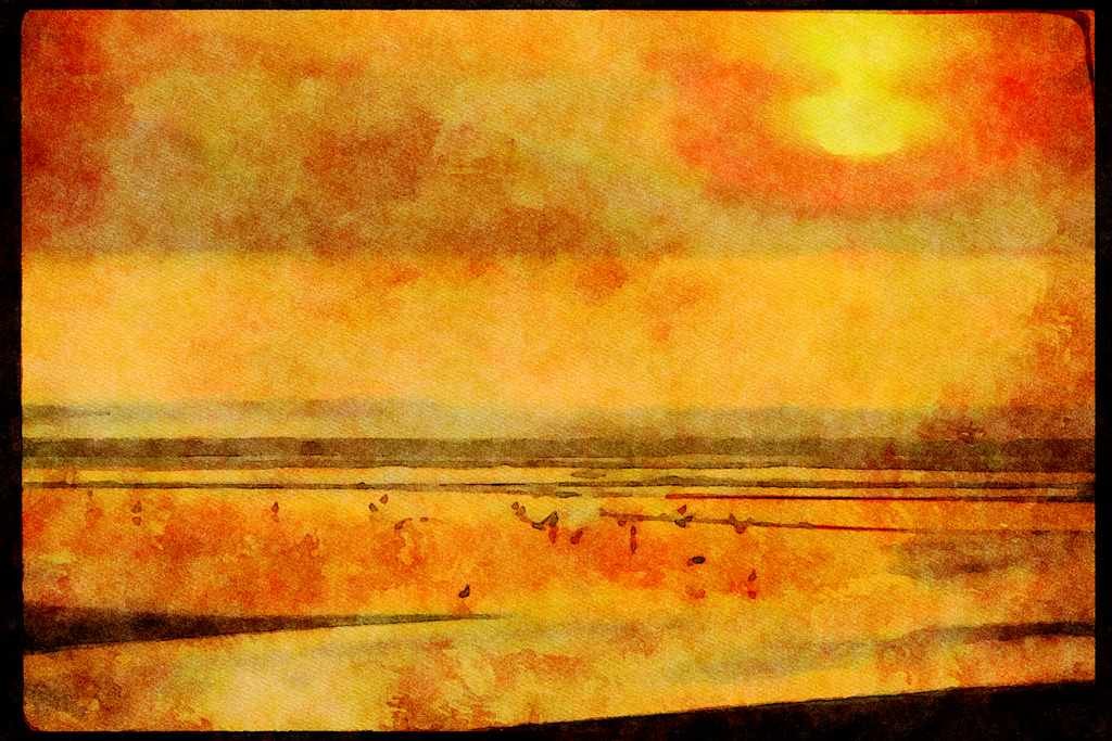 Sunrise Sunset Sky 001039 Big Yellow Sun, Birds On Shore A4 Limited Edition Watercolour Print